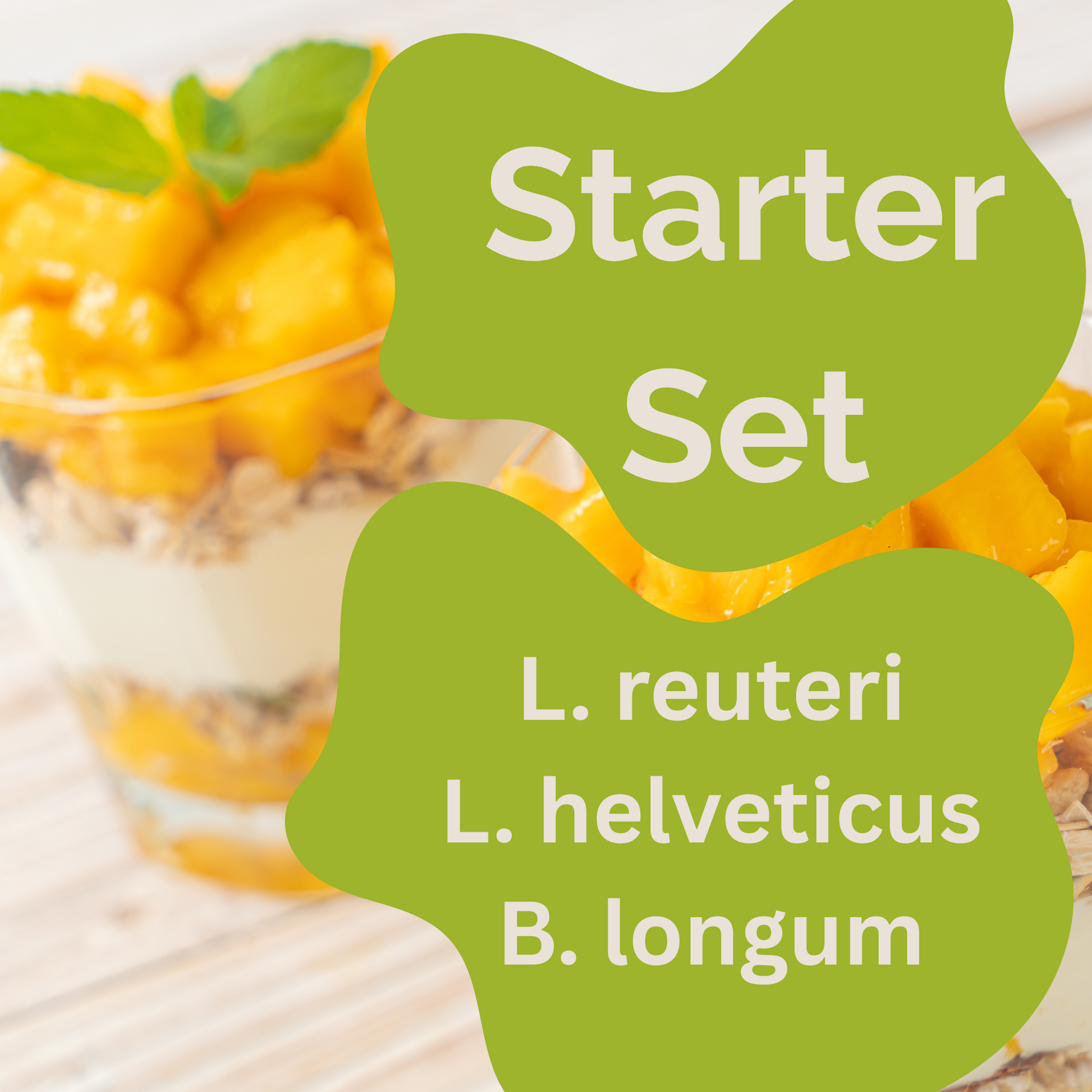 Starterset „Calm Gut" | L. reuteri, L. helveticus, B. longum-yoghurt
